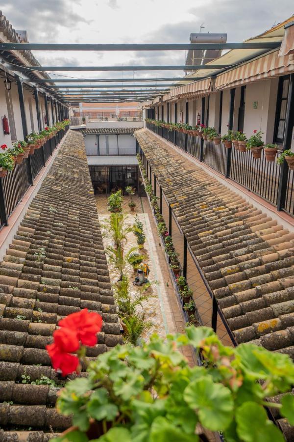 Rentalsevilla Durmiendo En La Alameda Εξωτερικό φωτογραφία